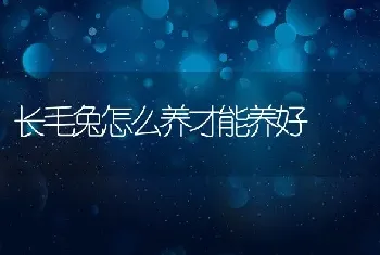 长毛兔怎么养才能养好