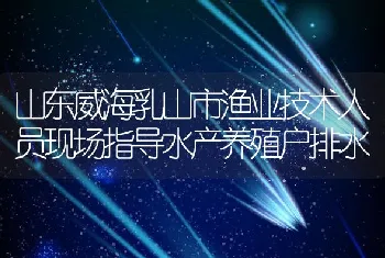 山东威海乳山市渔业技术人员现场指导水产养殖户排水