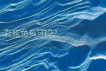 孔雀鱼有牙吗？