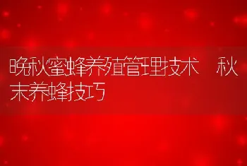 晚秋蜜蜂养殖管理技术 秋末养蜂技巧