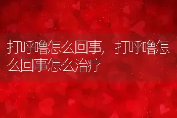 打呼噜怎么回事，打呼噜怎么回事怎么治疗