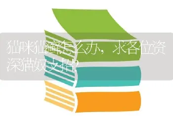 恶霸犬下了一个崽后还会难产吗