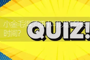 小金毛得了细小可以活多长时间？