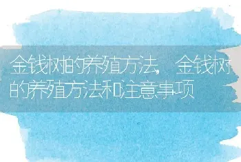 金钱树的养殖方法，金钱树的养殖方法和注意事项