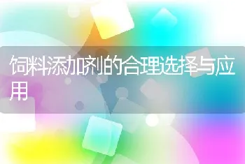 复式精选机保养方法