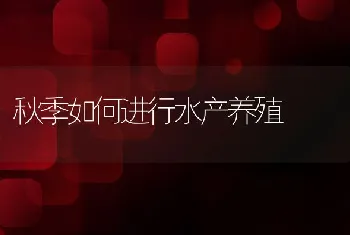 柠檬酸在改善日粮磷利用率中的应用