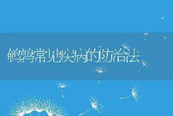 鹌鹑常见疾病的防治法