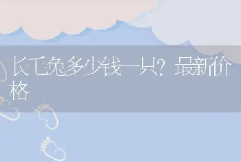 长毛兔多少钱一只？最新价格