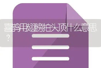 喜鹊用翅膀拍头顶什么意思？