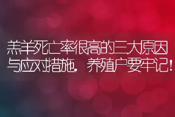 羔羊死亡率很高的三大原因与应对措施，养殖户要牢记！