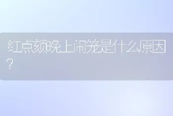 红点颏晚上闹笼是什么原因？