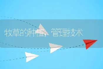 稚鳖白斑病的防治