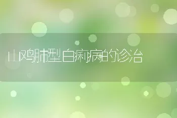 山鸡肺型白痢病的诊治