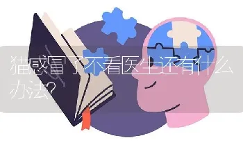 中秋节买的狗狗取什么名字好听？