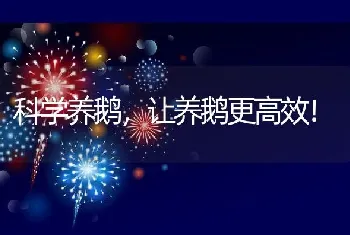 科学养鹅，让养鹅更高效！