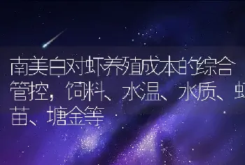 南美白对虾养殖成本的综合管控，饲料、水温、水质、虾苗、塘金等