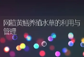 泥鳅稻田养殖技术大全