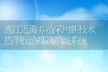 连江近海养殖采用新技术搭塑胶渔排筑消波系统