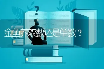 金鱼养双数还是单数？