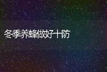 冬季养蜂做好十防