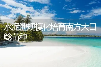 水泥池规模化培育南方大口鲶苗种