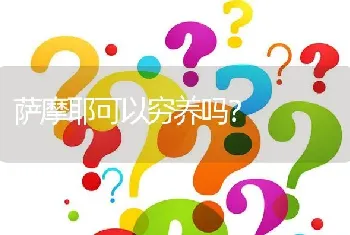 萨摩耶可以穷养吗？