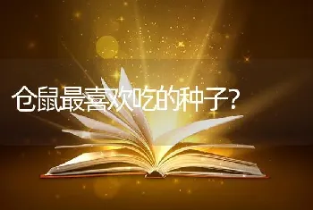 仓鼠最喜欢吃的种子？