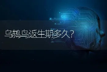 乌鸫鸟返生期多久？