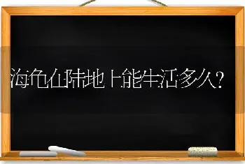 海龟在陆地上能生活多久？