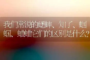 我们常说的蟋蟀、知了、蝈蝈、蛐蛐它们的区别是什么？