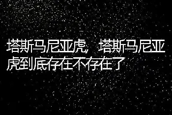 塔斯马尼亚虎，塔斯马尼亚虎到底存在不存在了