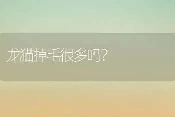 龙猫掉毛很多吗？