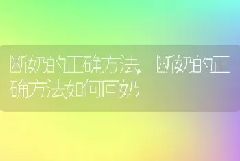 断奶的正确方法，断奶的正确方法如何回奶