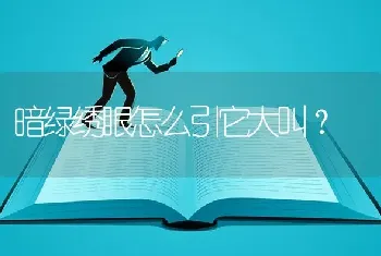 暗绿绣眼怎么引它大叫？