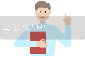 乌龟会挠人吗？