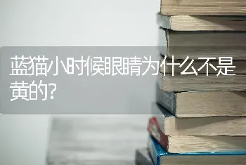 蓝猫小时候眼睛为什么不是黄的？