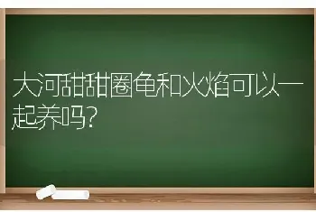 大河甜甜圈龟和火焰可以一起养吗？