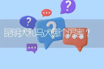 昆明犬和马犬哪个厉害？