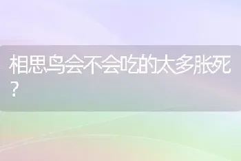 相思鸟会不会吃的太多胀死？