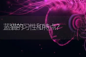 蓝猫的习性和特点？