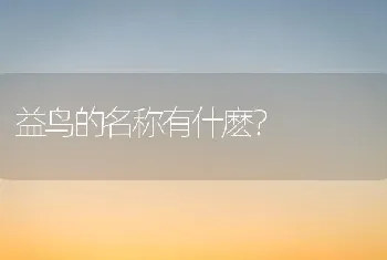 益鸟的名称有什麽？