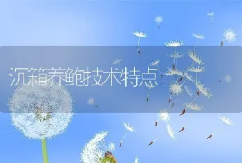 沉箱养鲍技术特点