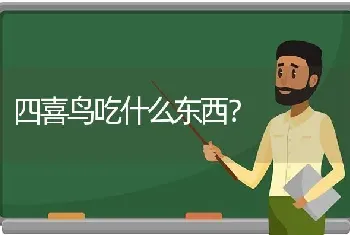 四喜鸟吃什么东西？