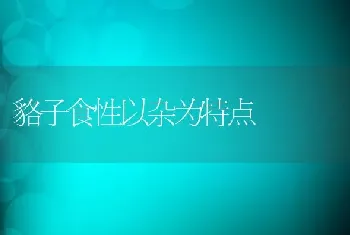 貉子食性以杂为特点