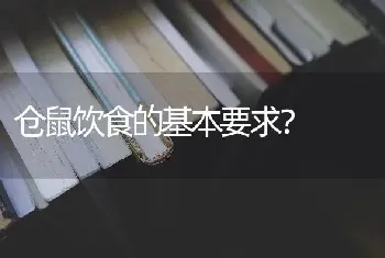 仓鼠饮食的基本要求？