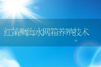 红笛鲷海水网箱养殖技术