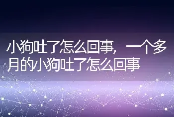 小狗吐了怎么回事，一个多月的小狗吐了怎么回事