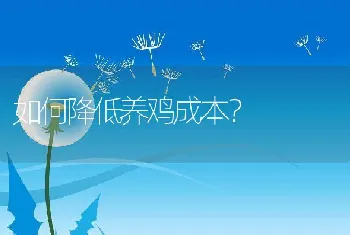 如何降低养鸡成本？