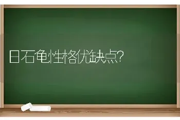 日石龟性格优缺点？