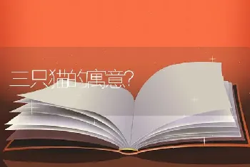 三只猫的寓意？